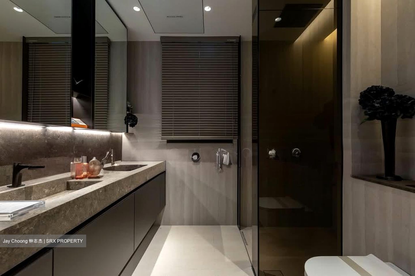 Dunearn Road (D11), Condominium #559103231